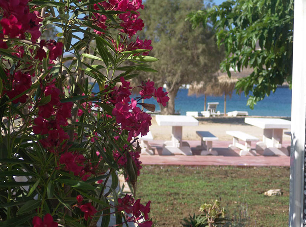 Chambres Avlomonas beach, Serifos