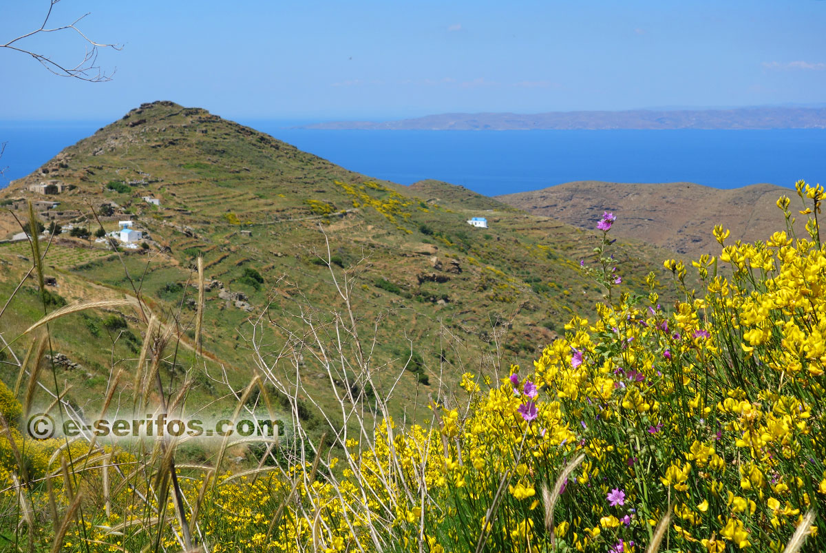 Chapelles à Serifos dans un paysage de printemps
