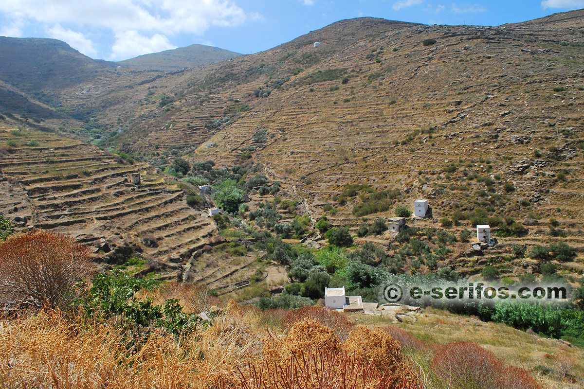 Paysage avec terrasses